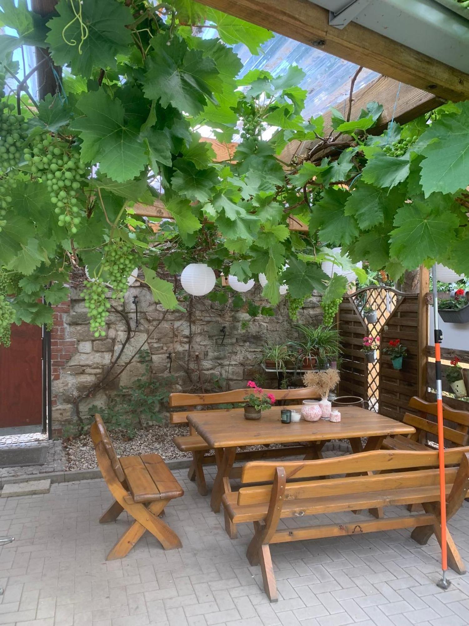 Pension Am Werder Bernburg Exterior photo
